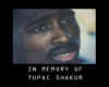 tupac.jpg (66929 Byte)